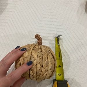 Target wicked pumpkins (4)